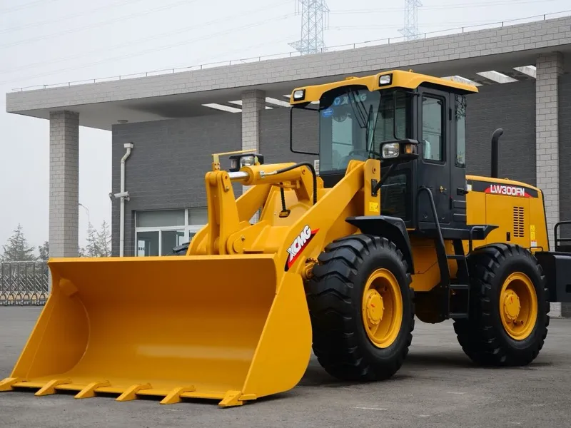 Xcmg LW300