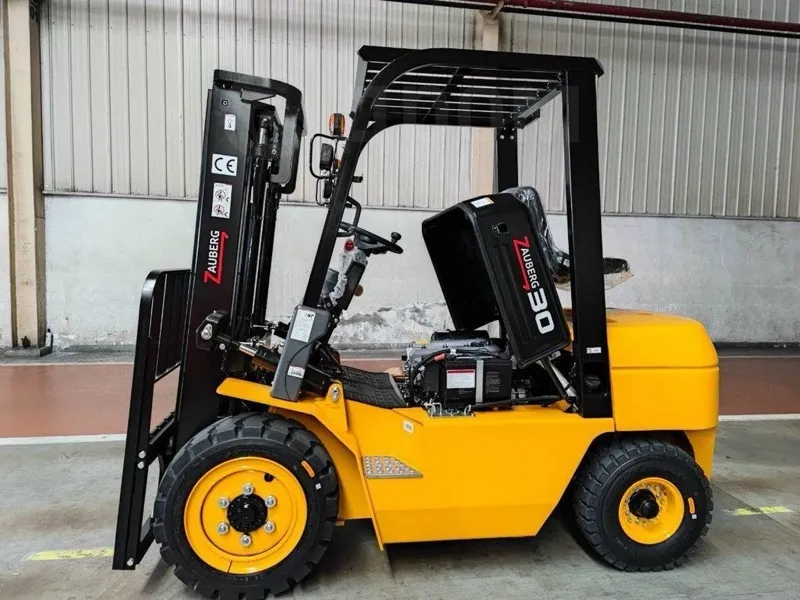 Zauberg DS30