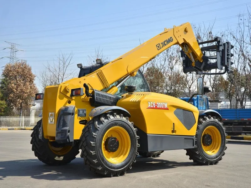 Xcmg XC6-3007
